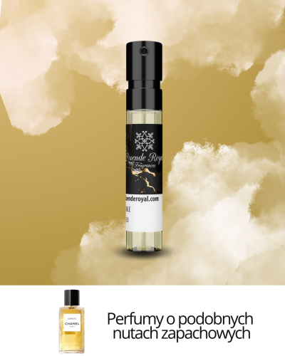 Comète Chanel (2).png