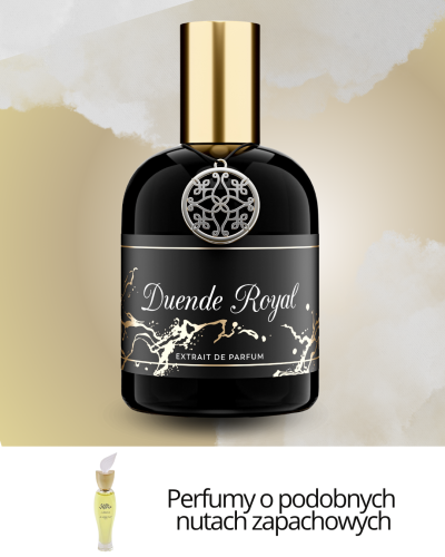 _Extravagance d'Amarige Givenchy 1998r .png