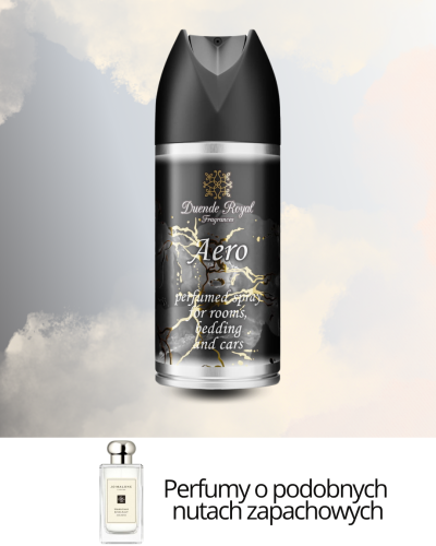 aero4.png